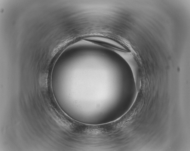 X0000086800299200704131312
