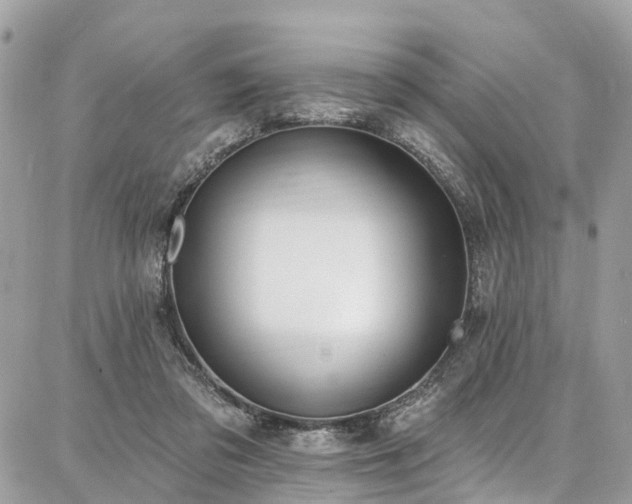 X0000086800309200704131312