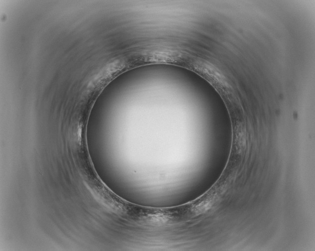 X0000086800310200704131312