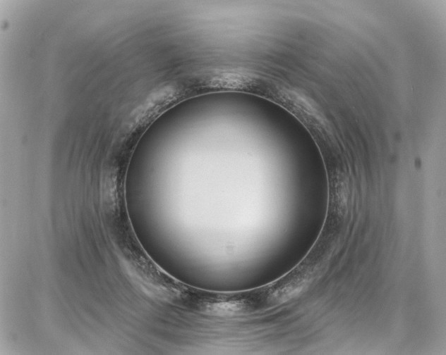 X0000086800312200704131312