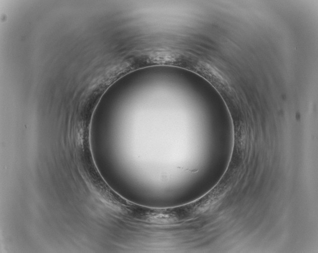 X0000086800315200704131312