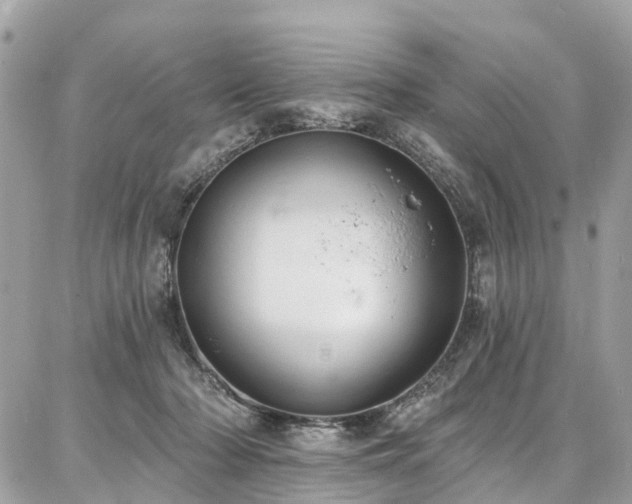 X0000086800318200704131312