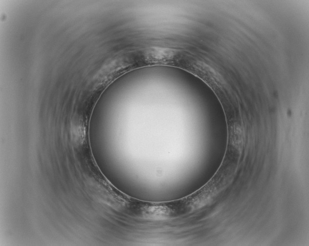 X0000086800324200704131312