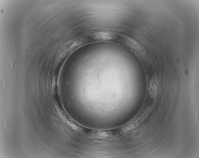 X0000086800330200704131312