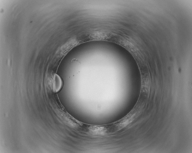 X0000086800334200704131312