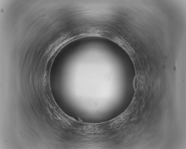 X0000086800338200704131311