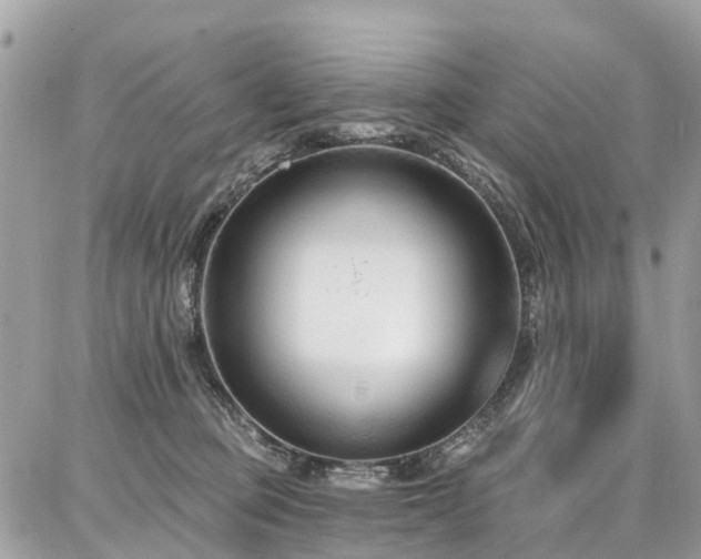 X0000086800373200704131312