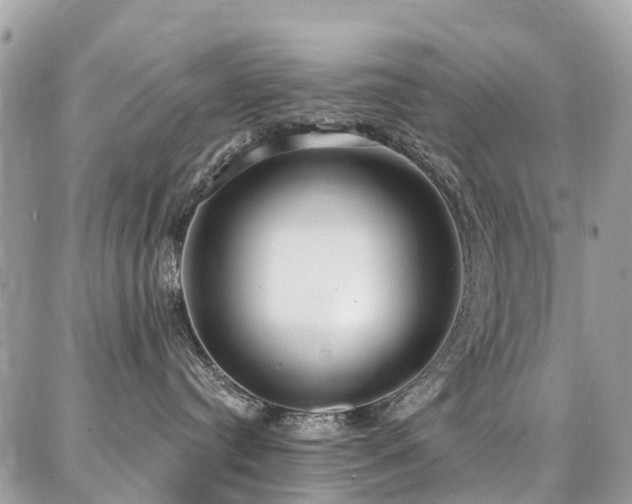 X0000086800384200704131312