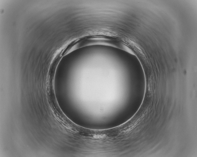X0000086800388200704131311