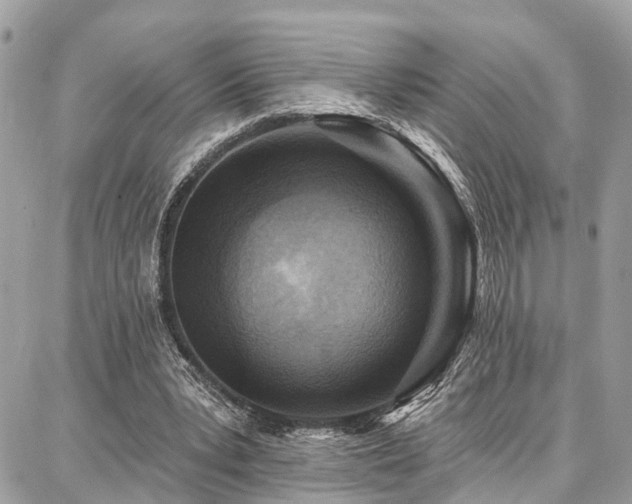 X0000086800391200704131311