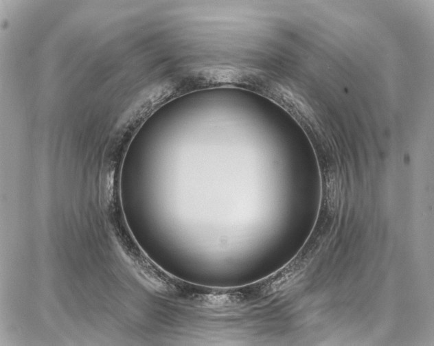 X0000086800406200704131311