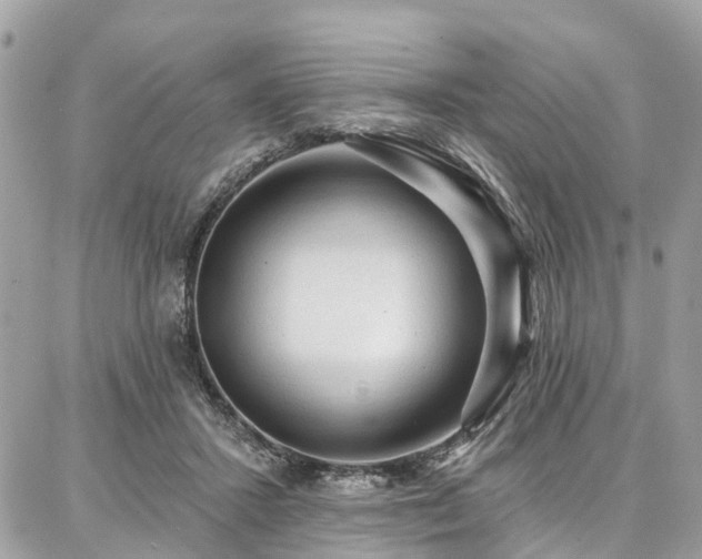 X0000086800407200704131311