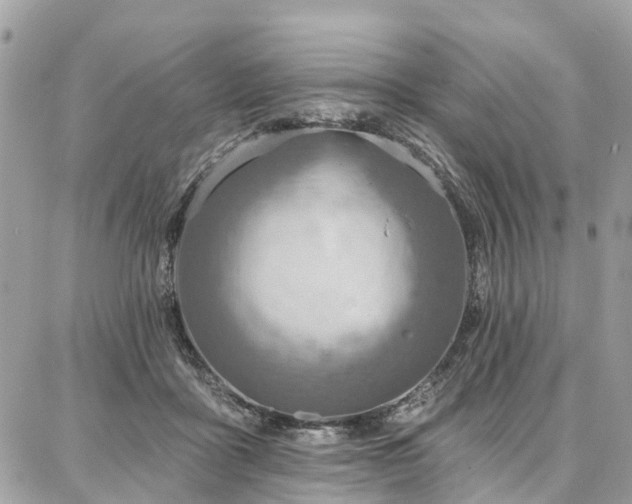 X0000086800411200704131311