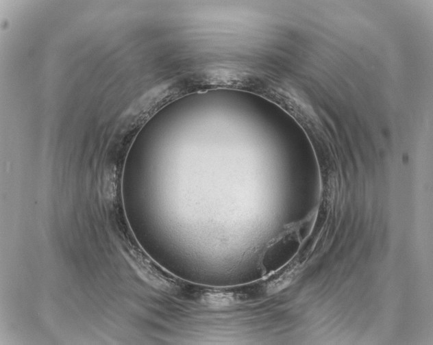 X0000086800413200704131311