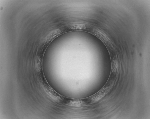 X0000086800414200704131311