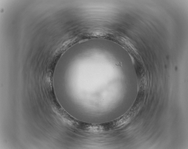 X0000086800415200704131311