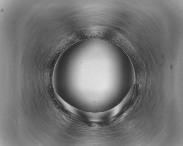 X0000086800416200704131311