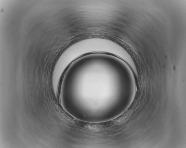 X0000086800417200704131311