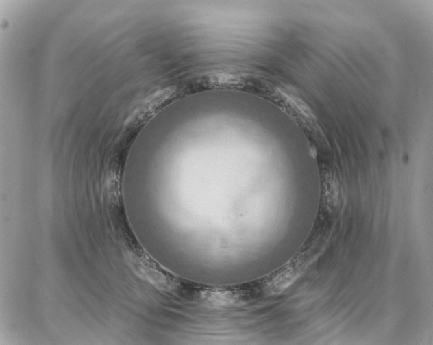 X0000086800419200704131310