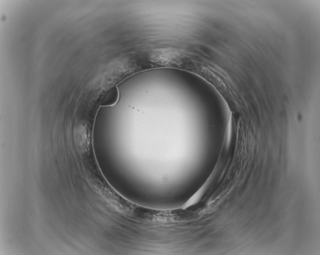 X0000086800420200704131310