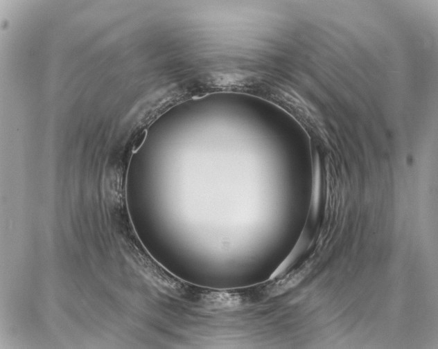X0000086800421200704131310