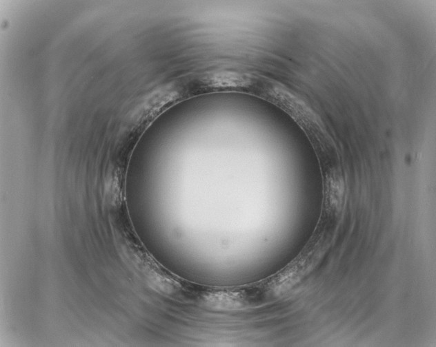X0000086800422200704131310