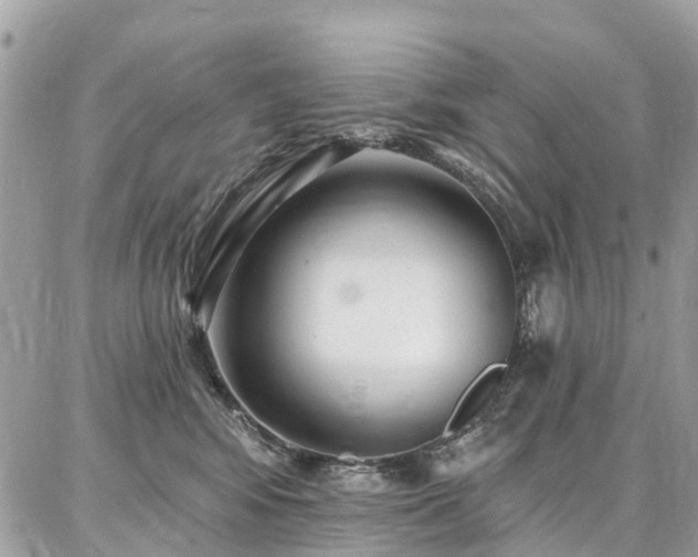 X0000086800424200704131310