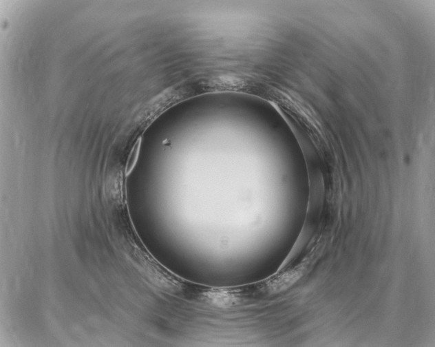 X0000086800425200704131310