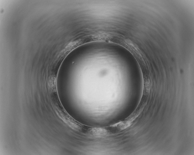 X0000086800429200704131310