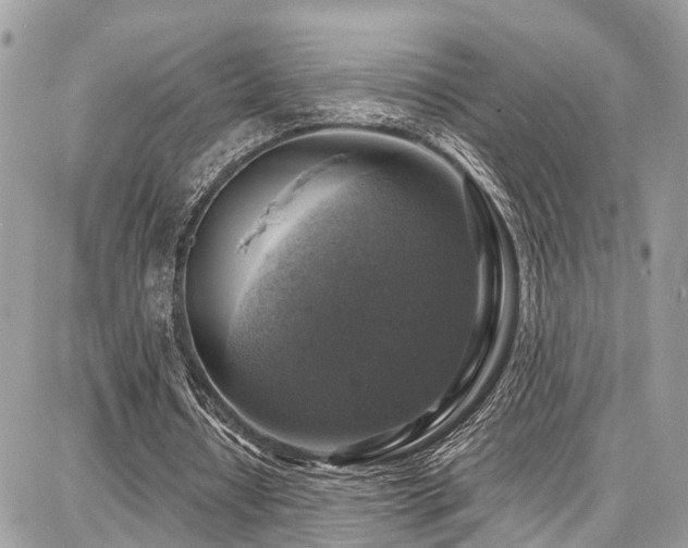 X0000086800434200704131309