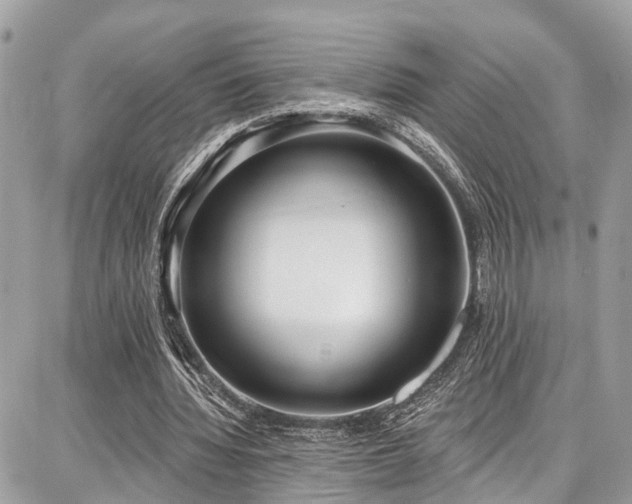 X0000086800436200704131310