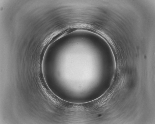 X0000086800437200704131310