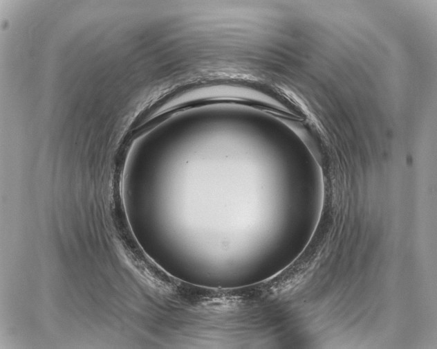 X0000086800447200704131310