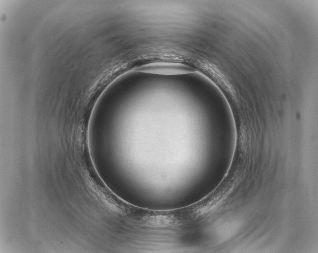 X0000086800449200704131310