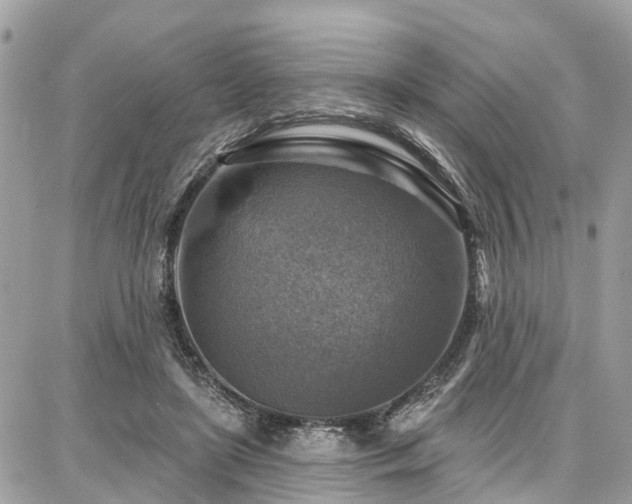 X0000086800451200704131310