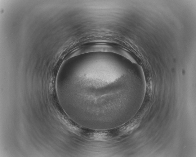 X0000086800462200704131310