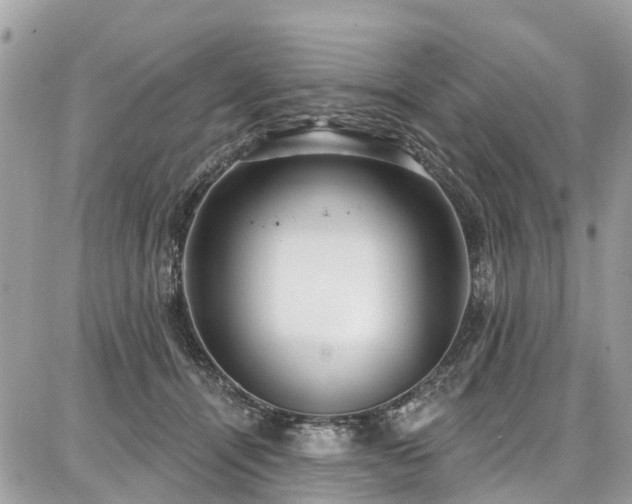 X0000086800464200704131310