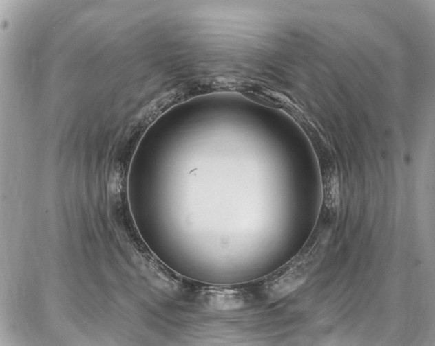 X0000086800472200704131310