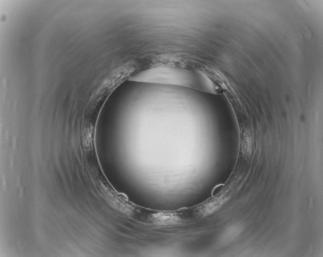 X0000086800477200704131310