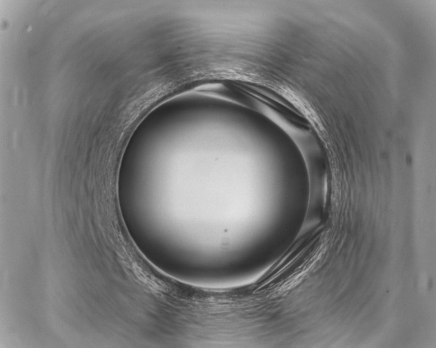 X0000086800481200704131309