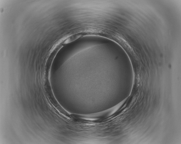 X0000086800484200704131309