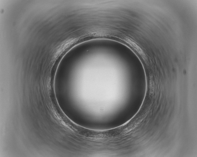 X0000086800485200704131309