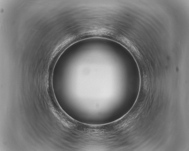 X0000086800486200704131309