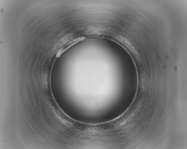 X0000086800489200704131309