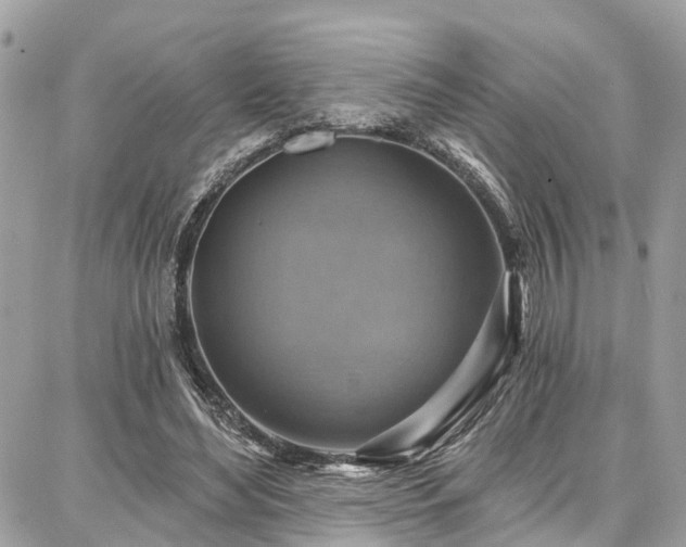 X0000086800492200704131309