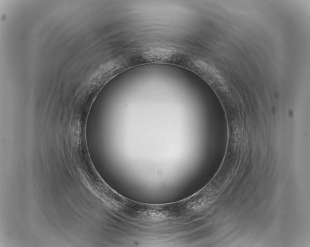 X0000086800498200704131309