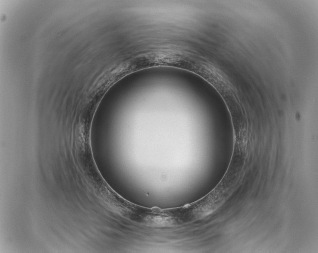 X0000086800506200704131309