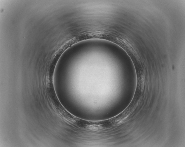 X0000086800508200704131309