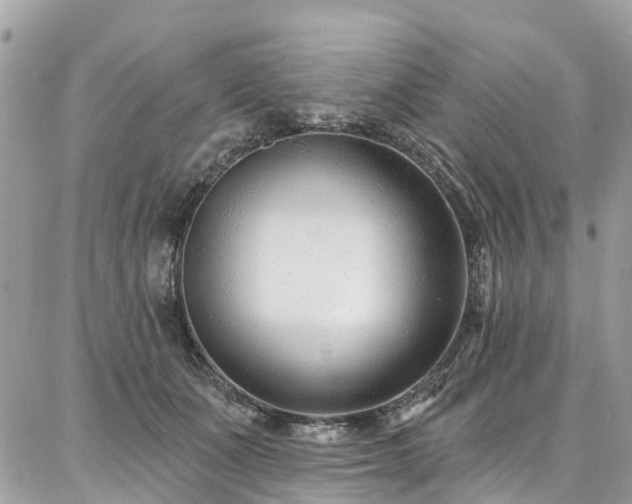 X0000086800511200704131309