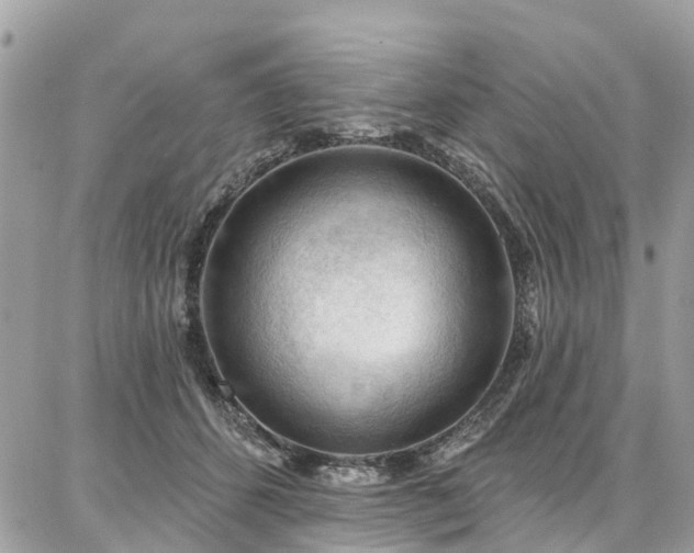 X0000086800512200704131309